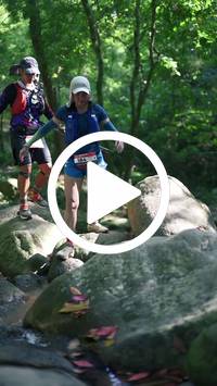 BIB:  <button type="button" onclick="openModal(28052710)" class="btn btn-primary btn-sm float-right" data-toggle="modal" data-target=".modal-high-quality">
                <i class="fa fa-download"></i> Download
                </button>